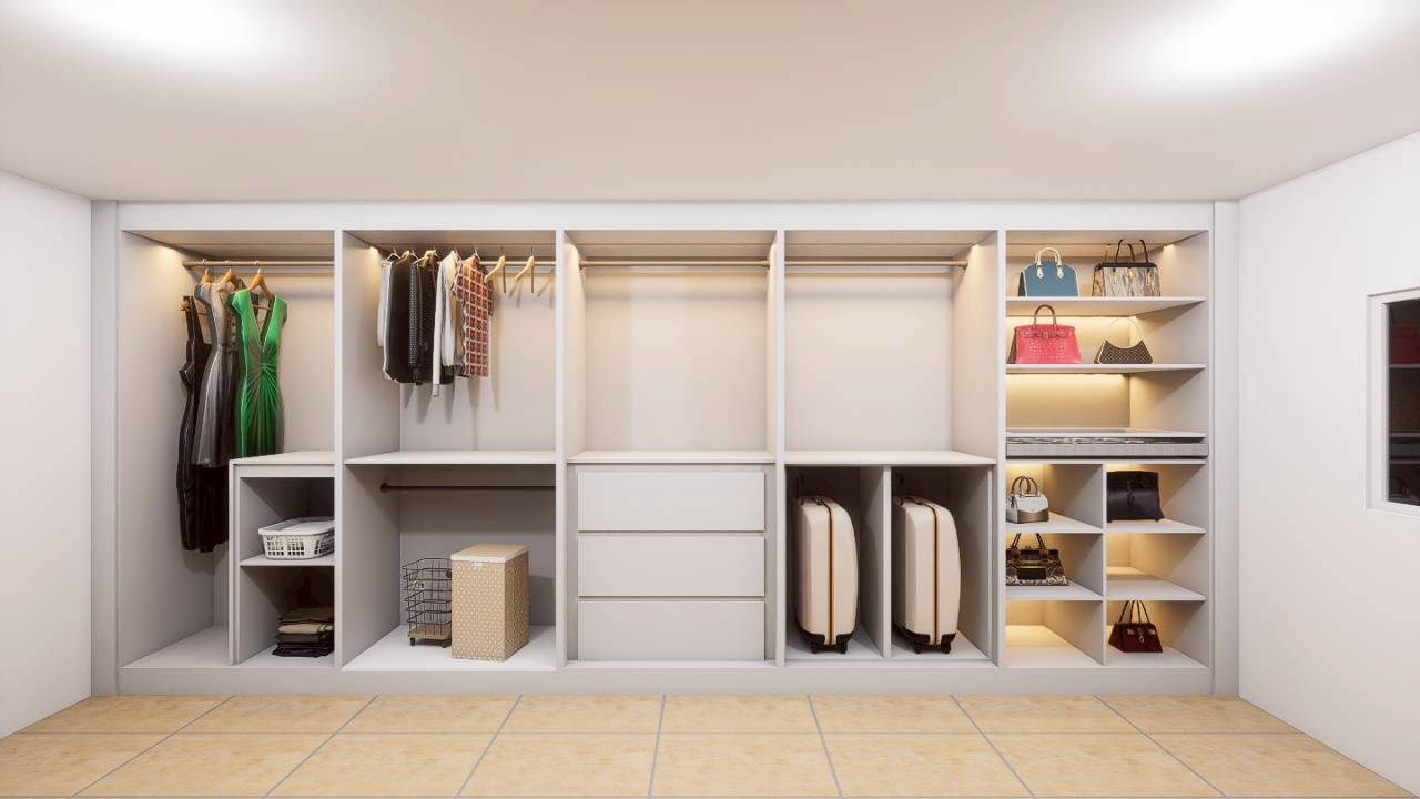 Walk-in Closet view 1